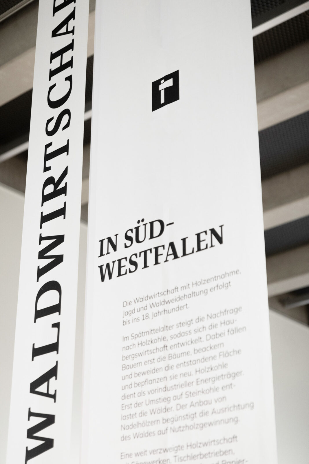 Bok-_Sauerland-Museum_Wunder-Wald_02-10-2023_TE_8195cChristoph-Steinweg